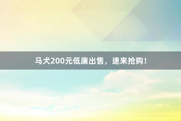 马犬200元低廉出售，速来抢购！