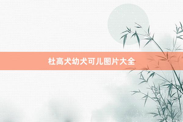 杜高犬幼犬可儿图片大全